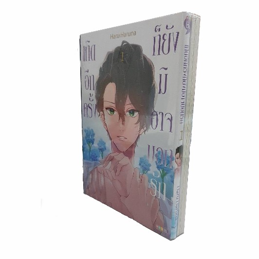 ชุด เกิดอีกครั้ง ก็ยังมิอาจบอกรัก เล่ม 1-2  (จบ)